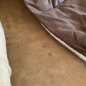 Meet your Posher, Serena